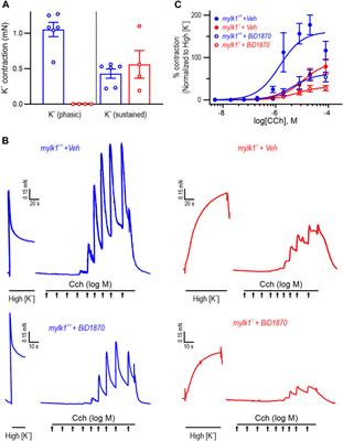 p90RSK2, a new MLCK mediates contractility in myosin light chain kinase null smooth muscle